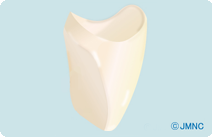 クラウン（被せ物）