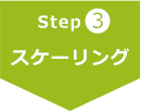 Step3 スケーリング